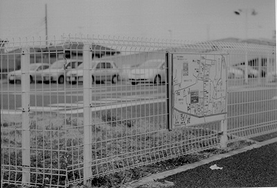 b0008655_2161330.jpg