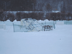 b0159557_1812311.gif
