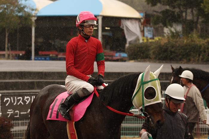 2009年2月22日(日) 高知競馬 5R_a0077663_18391081.jpg