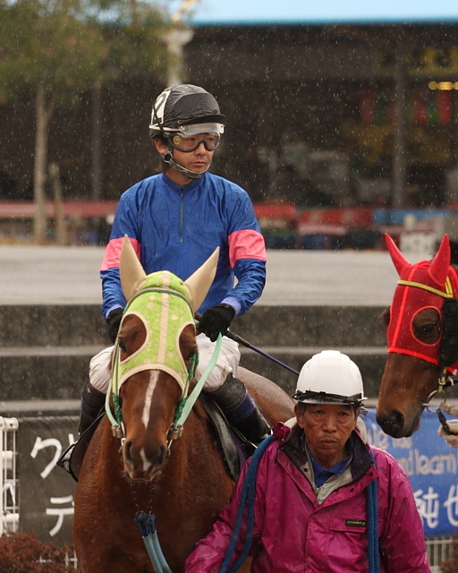 2009年2月22日(日) 高知競馬 5R_a0077663_18391823.jpg