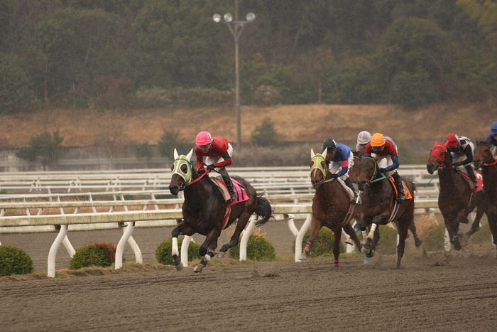 2009年2月22日（日） 高知競馬 5R_a0077663_18392854.jpg