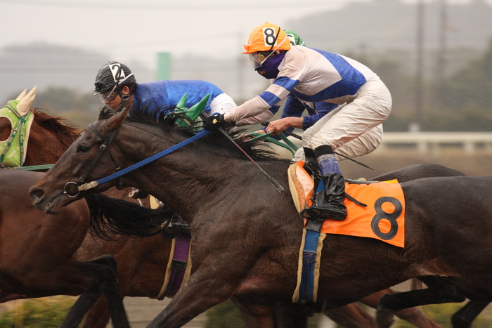 2009年2月22日（日） 高知競馬 5R_a0077663_18393684.jpg