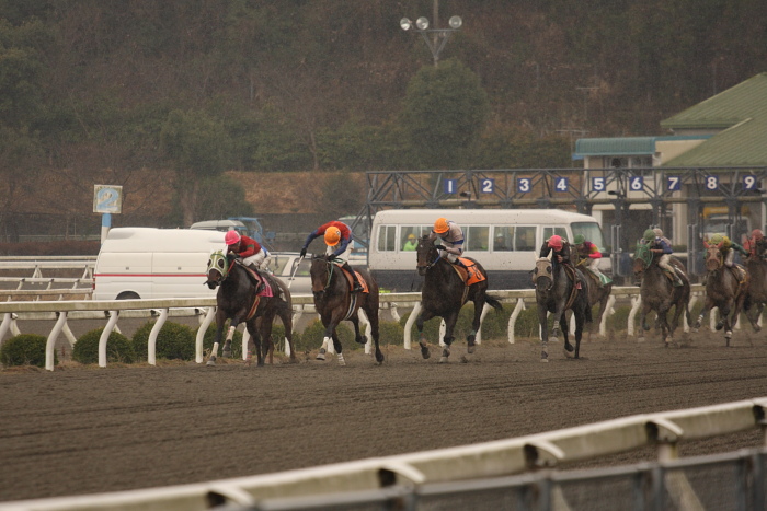 2009年2月22日（日） 高知競馬 5R_a0077663_1839433.jpg