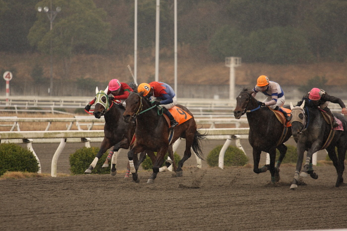 2009年2月22日（日） 高知競馬 5R_a0077663_18395164.jpg