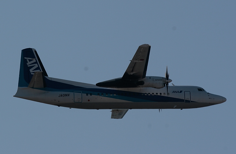 b0075165_12145655.jpg