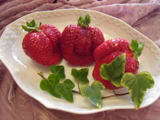 c0188784_20475598.jpg