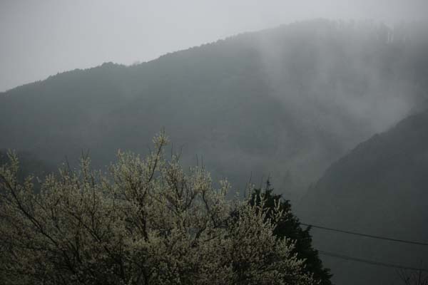 c0177785_6301539.jpg