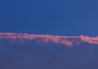 e0152186_8544723.jpg