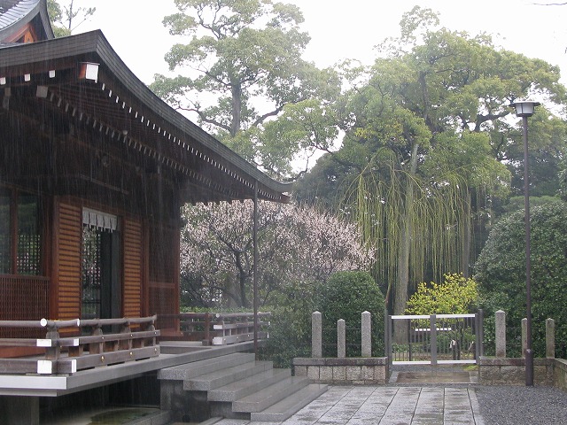 f0181394_15598.jpg
