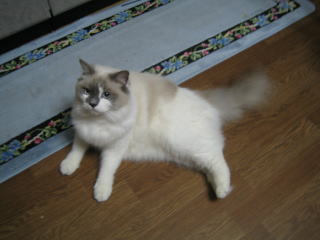 c0024410_06678.jpg