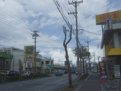 f0178416_13472437.jpg