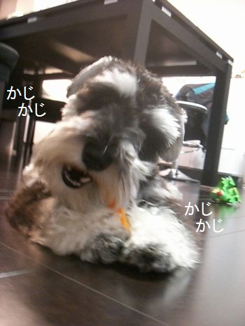 f0197317_1841873.jpg