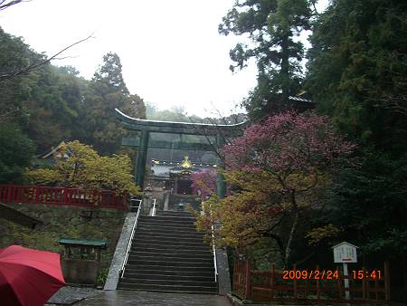 d0065324_2154615.jpg