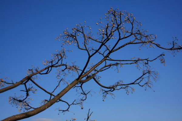 c0104227_2205456.jpg