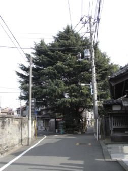 c0195134_022384.jpg