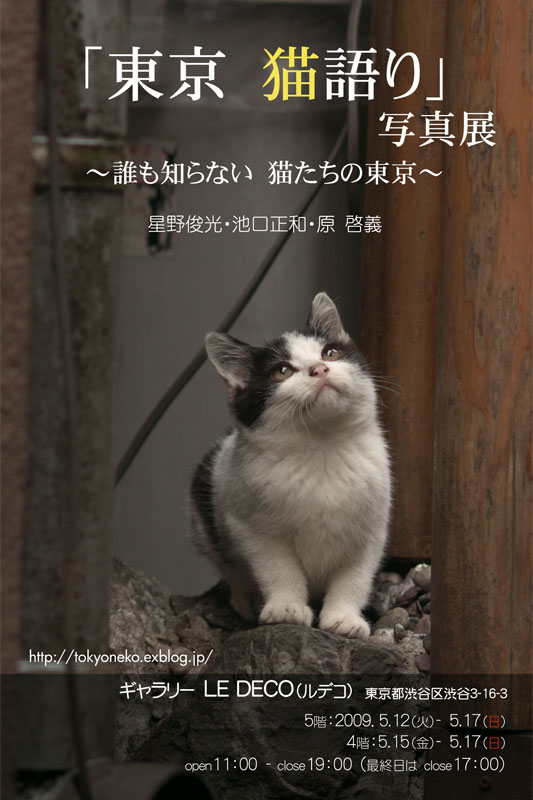 「東京 猫語り」～誰も知らない 猫たちの東京～_c0194541_10371330.jpg