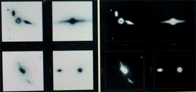 a0044453_20102165.gif