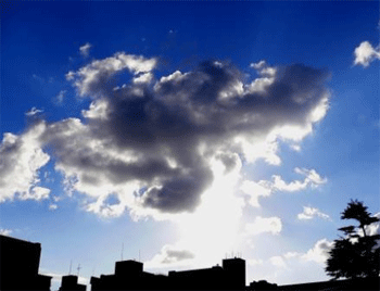 a0044453_20105899.gif