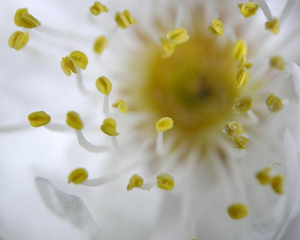 e0035757_18402378.jpg