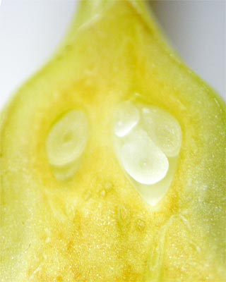 e0035757_18475968.jpg