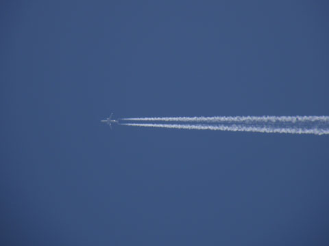 e0073762_12454736.jpg