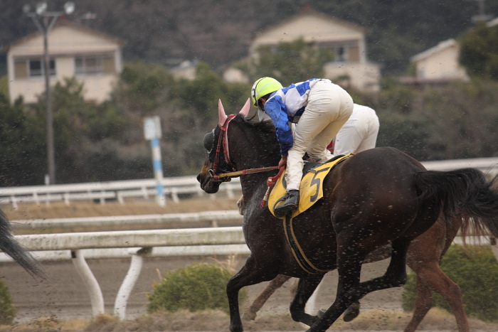 2009年2月22日（日） 高知競馬 3R その1_a0077663_18481099.jpg