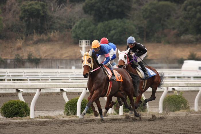 2009年2月22日（日） 高知競馬 3R その1_a0077663_1848147.jpg