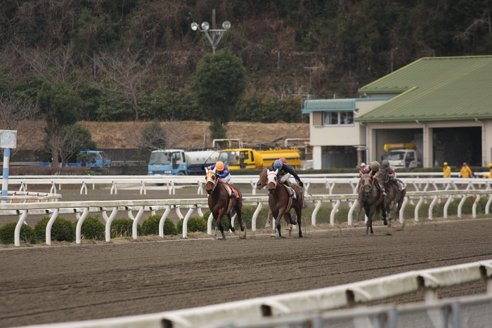 2009年2月22日（日） 高知競馬 3R その2_a0077663_19301589.jpg