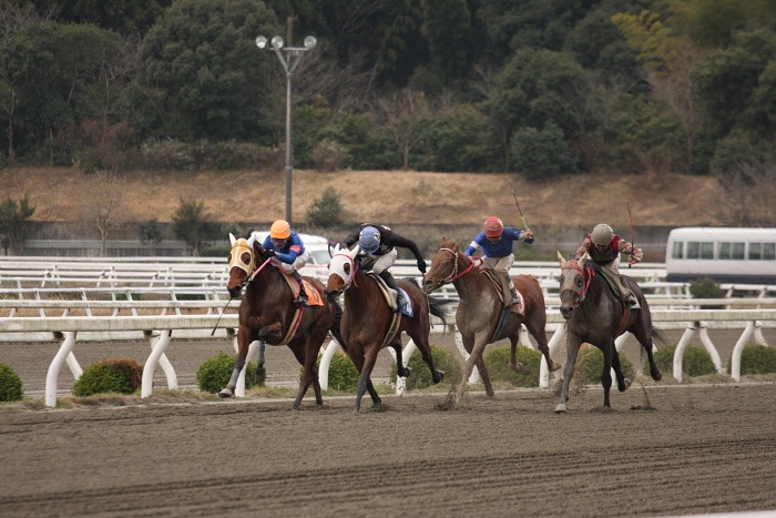 2009年2月22日（日） 高知競馬 3R その2_a0077663_19302991.jpg