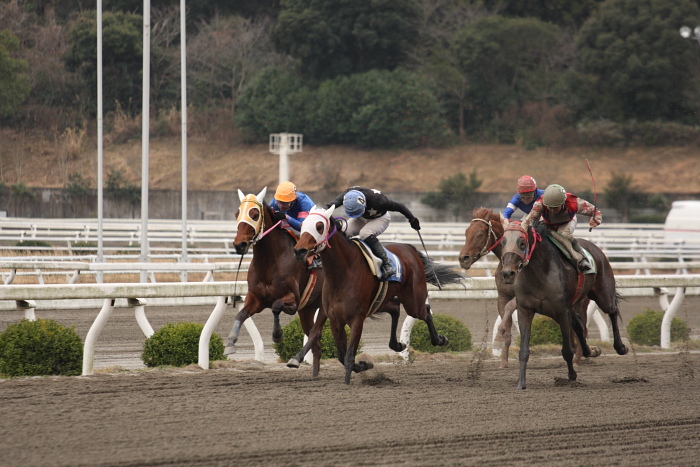 2009年2月22日（日） 高知競馬 3R その2_a0077663_19303853.jpg