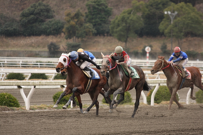 2009年2月22日（日） 高知競馬 3R その2_a0077663_19304777.jpg