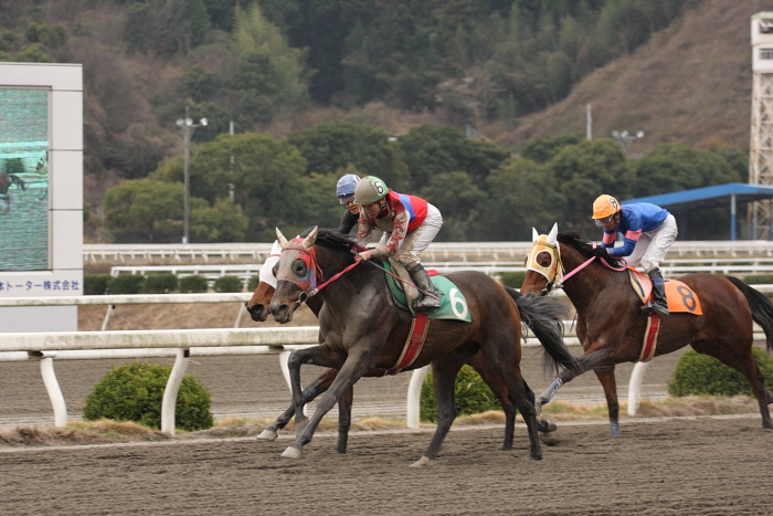 2009年2月22日（日） 高知競馬 3R その2_a0077663_19305528.jpg