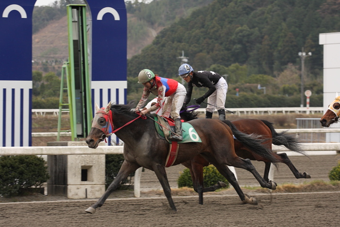 2009年2月22日(日) 高知競馬 3R その2_a0077663_1931471.jpg