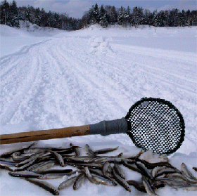 f0163063_16443846.gif