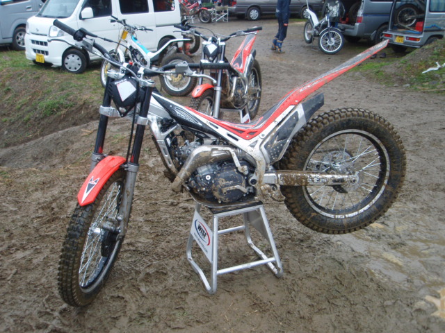 BETA EVOはよかばい！ : いつまでもナナコロビヤオキ