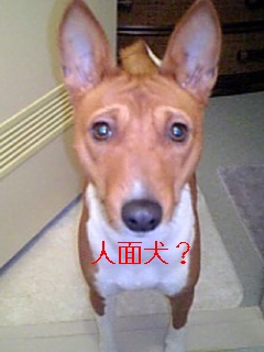f0131775_99064.jpg