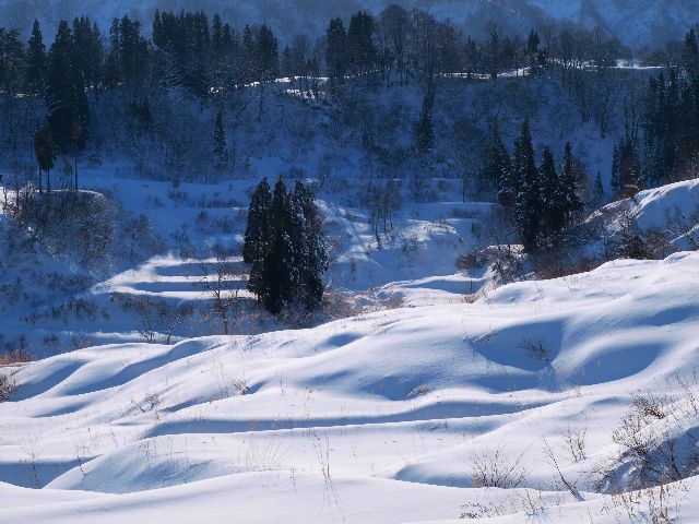 田麦立の光景_a0025576_19175341.jpg