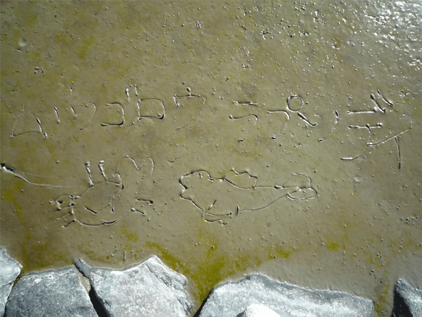 b0144590_381372.gif