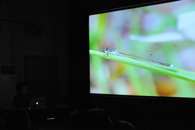 f0159390_9505831.jpg