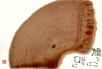 a0030594_22332759.jpg