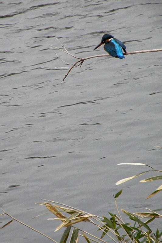 b0024798_54733.jpg