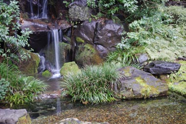 c0184800_10121140.jpg