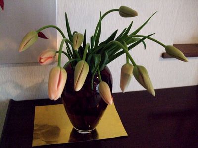d0149103_5541489.jpg