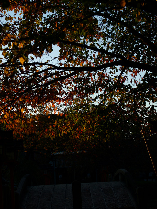 c0188405_162694.jpg