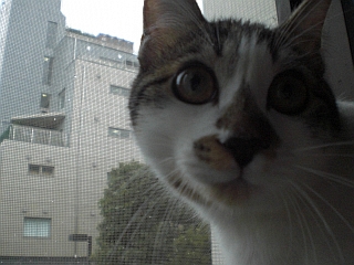 d0131207_1259216.jpg