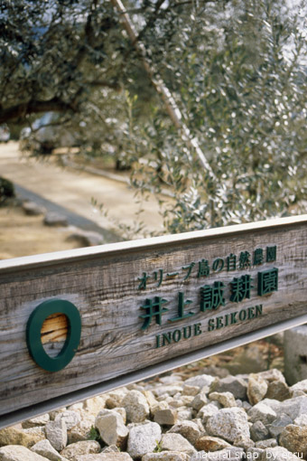 d0114409_1538457.jpg