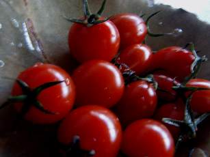 tomato!!_d0116910_16422059.jpg