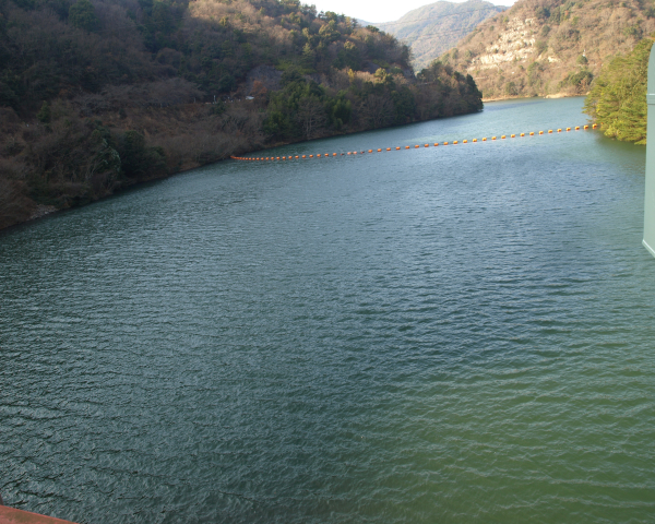 f0125914_2401893.jpg