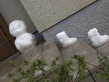 雪_a0100923_1393857.jpg