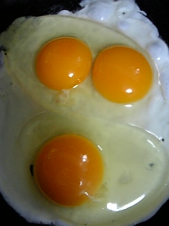 ふおおー エキサイトミュージック連載ブログ Polysicsのできぬかな